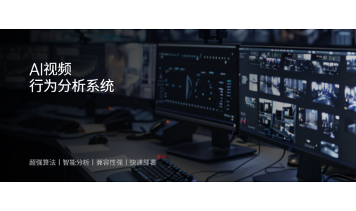 AI 视频行为分析系统
